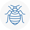 Bed Bug Extermination In Potters Bar