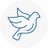 Bird Prevention Potters Bar