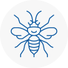 Potters Bar Hornet Nest Removals