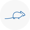 Mice Exterminators In Potters Bar