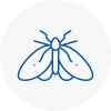 Moth Control Specialists In Potters Bar