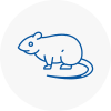 Rat Control Potters Bar