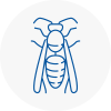 Potters Bar Wasp Nest Removal